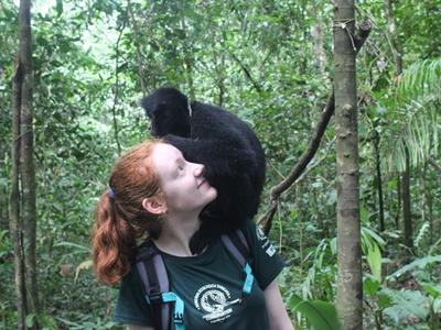 A tagged Spider Monkey, previously released from Taricaya, drops by for some hugs from the group Volunteer with a previously released Spider Monkey